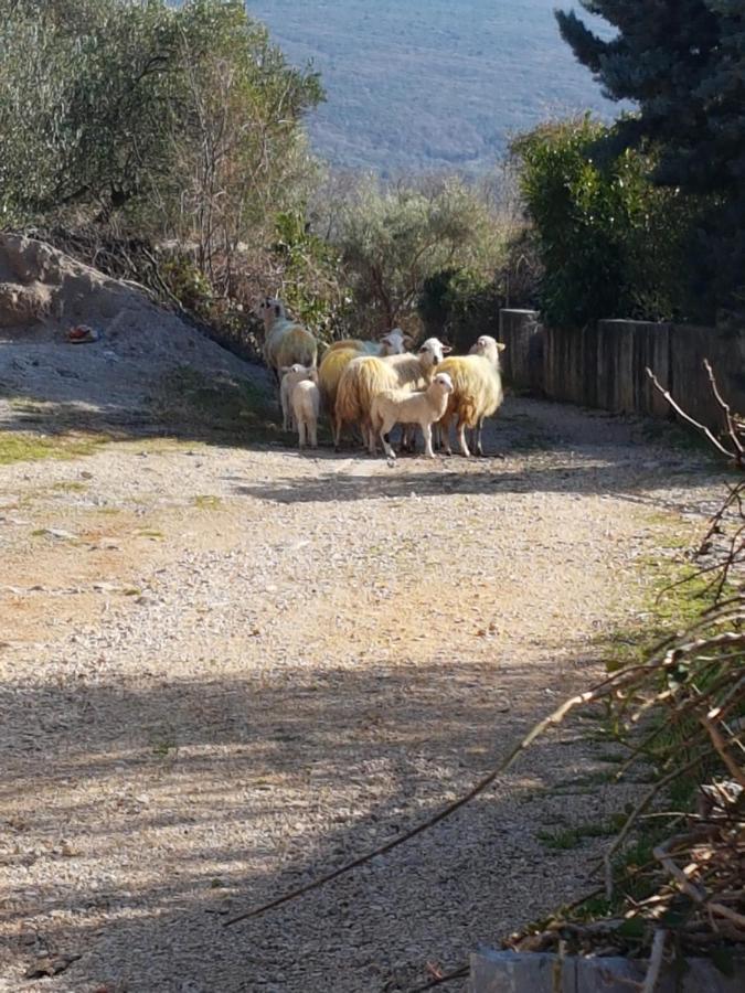 Kuca Za Odmor Suzi Casa vacanze *